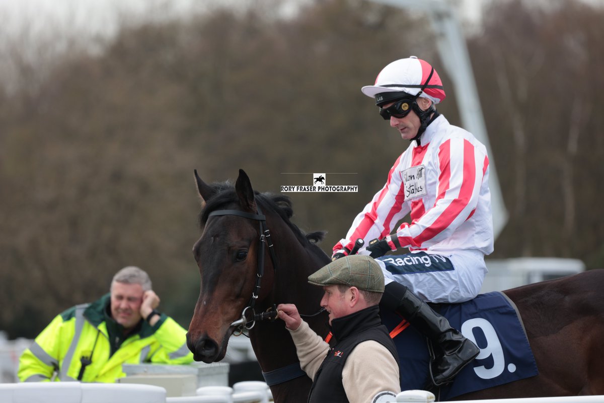 MILLBUIE (Adaay x Henpecked) at Newcastle on Monday in the class five maiden. Trained by @EWhillansRacing, owned by N J Delgano & W R Ellis and ridden by Paul Mulrennan. The first foal of a five time winner, but yet to place in three starts so far.