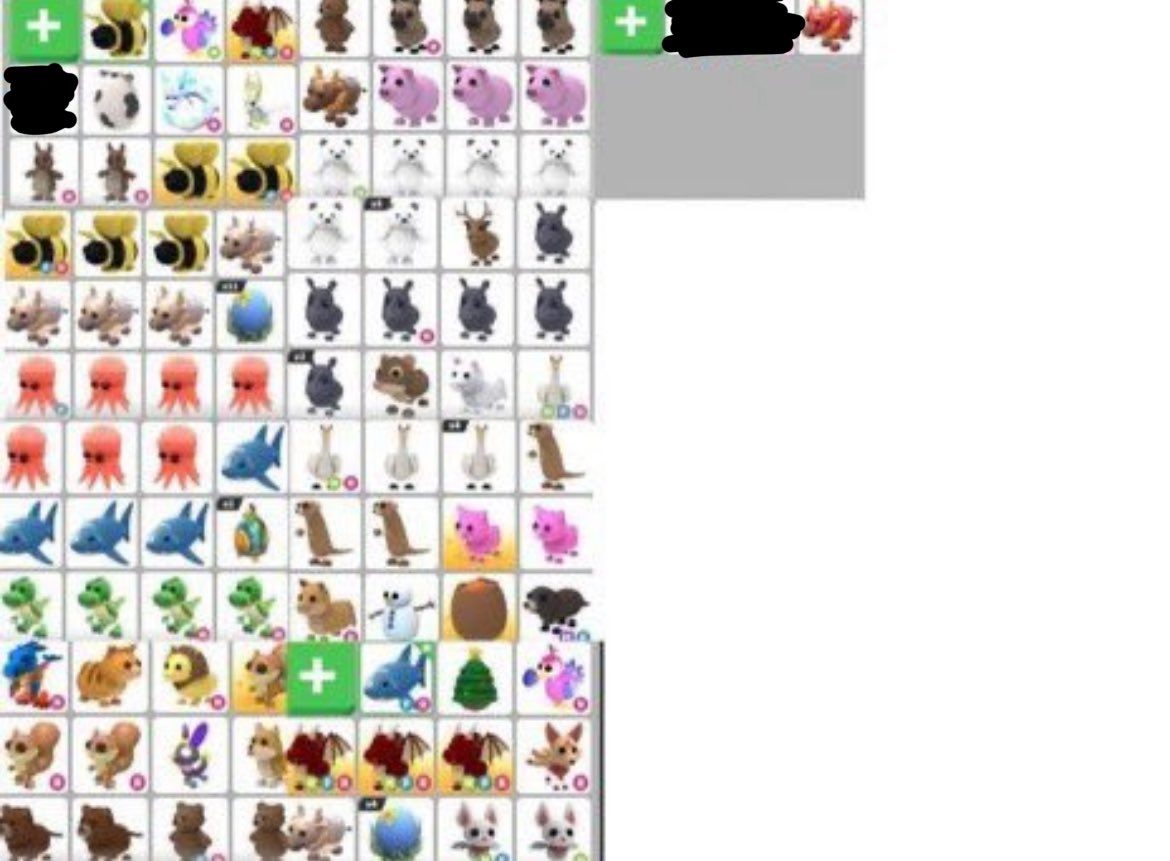 SELLING FOR PAYPAL, looking around <1k rbx 
#royalehightrades #royalehightrading #adoptmetrades #adoptme #amtrades #rhtrades #rhtrading #adoptmetrading #adoptmepets #amtrading #adoptme