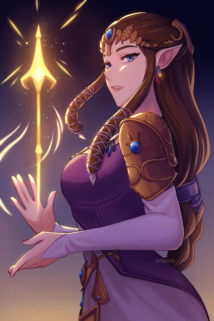 Twilight princess Zelda ✨