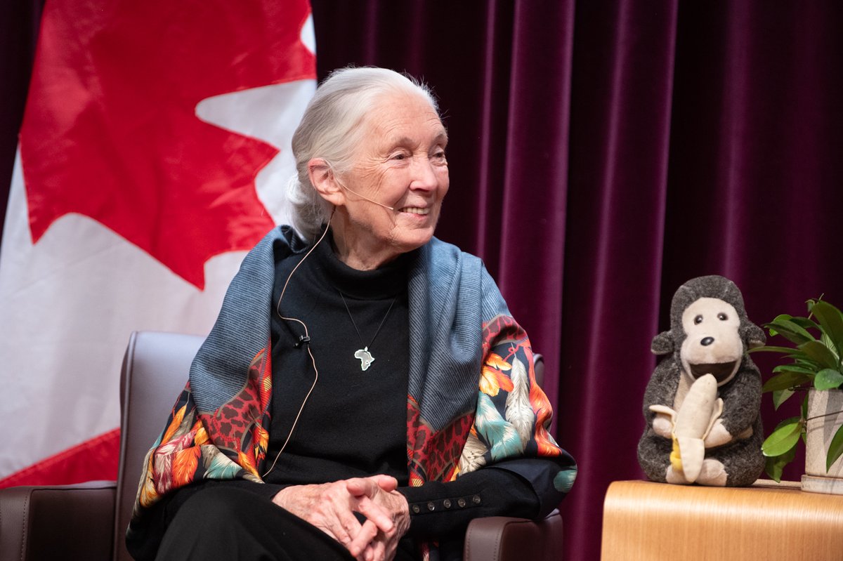 Les mots inspirants de la Dre Jane Goodall à AMC hier: « Chaque jour, nous avons tous et toutes un impact sur la planète et nous avons la possibilité de choisir le type d’impact que nous avons. » #ChangezLesChoses 🌎🌱