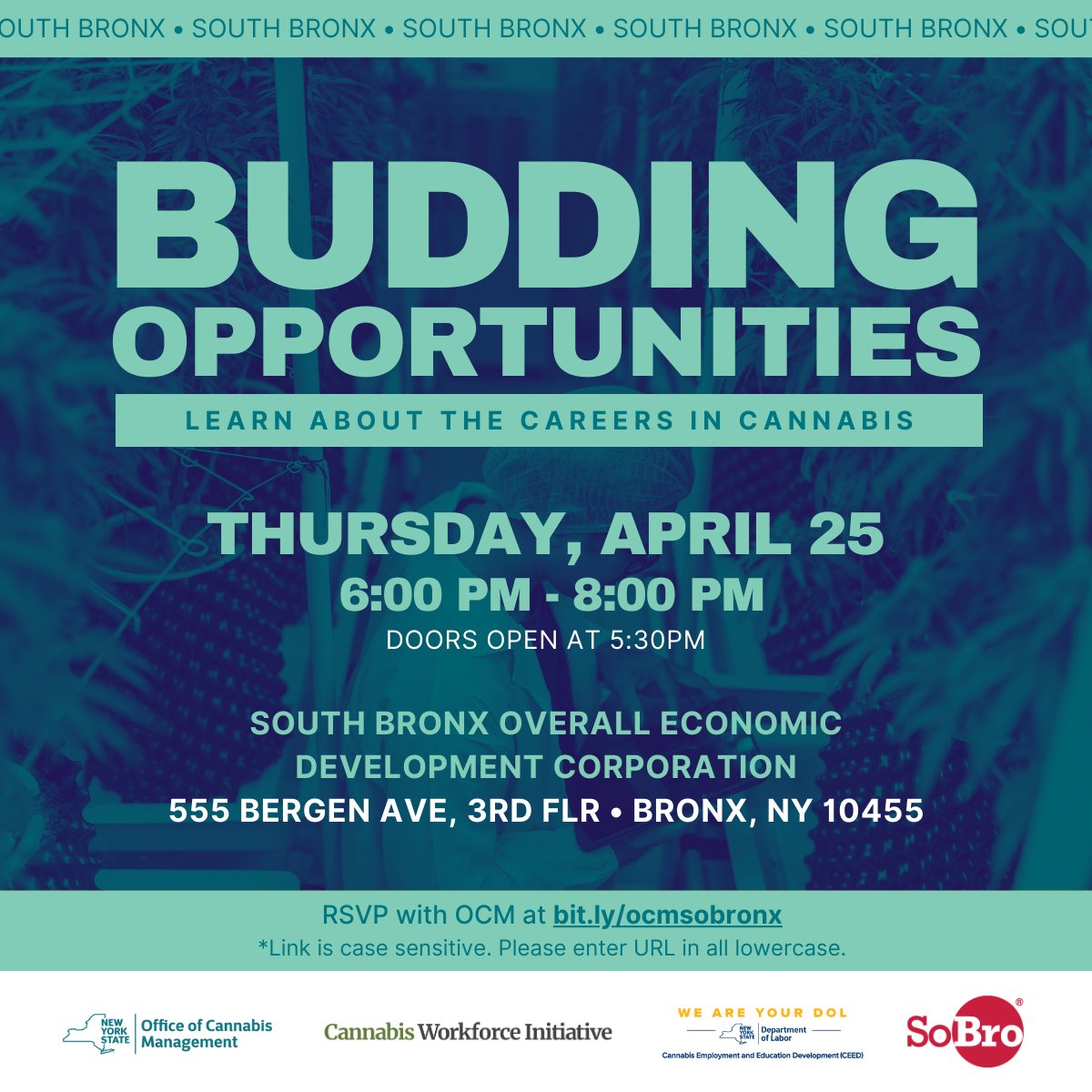 Interested in a career within #NYcannabis? Join us on Thu, 4/25 in the South Bronx to learn about possible positions and pathways within the cannabis industry. ➡️ Register here: bit.ly/ocmsobronx