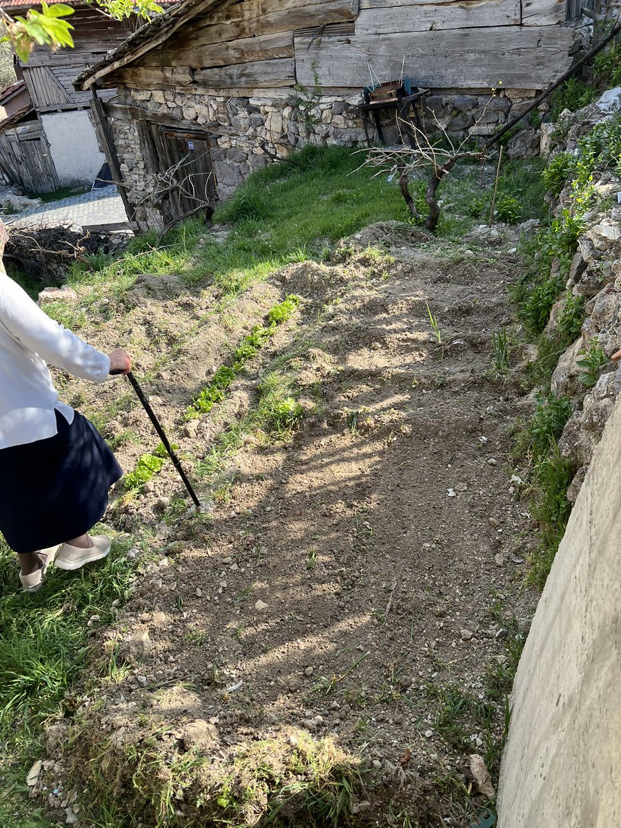 @fatihcolak19831 gönderdiğiniz tohumlar toprakla buluştu 🥰 tekrar teşekkürler 💐 iyi bayramlar