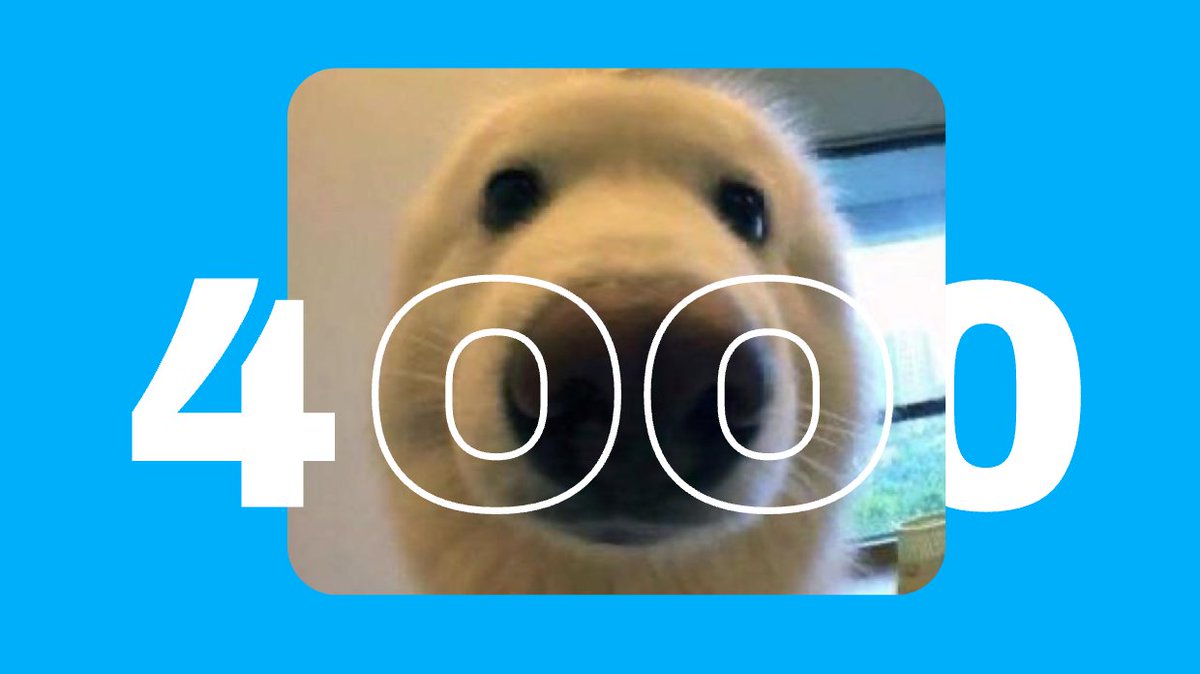 boop is growing ❤️ 4000+ boopers/holders