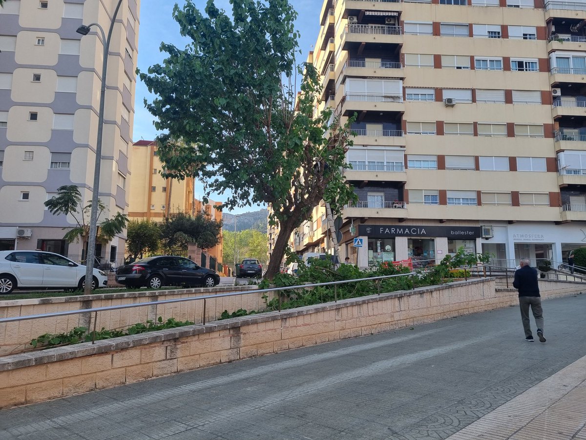 @Alfa_CentauriBb Això es de fa uns dies, en plena època de cria aviar 🐣🐣