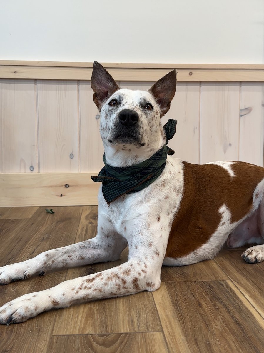 Vermont Natural Coatings tweet media