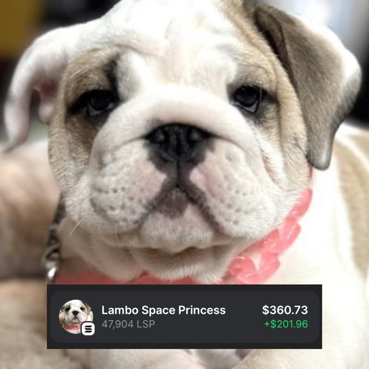 Shout out to <a href="/LamboSpaceP/">LamboSpacePrincess</a> thx for looking out for Artists with the generous $LSP drop to <a href="/drip_haus/">DRiP 💧</a> Creators 🫶 lob ya