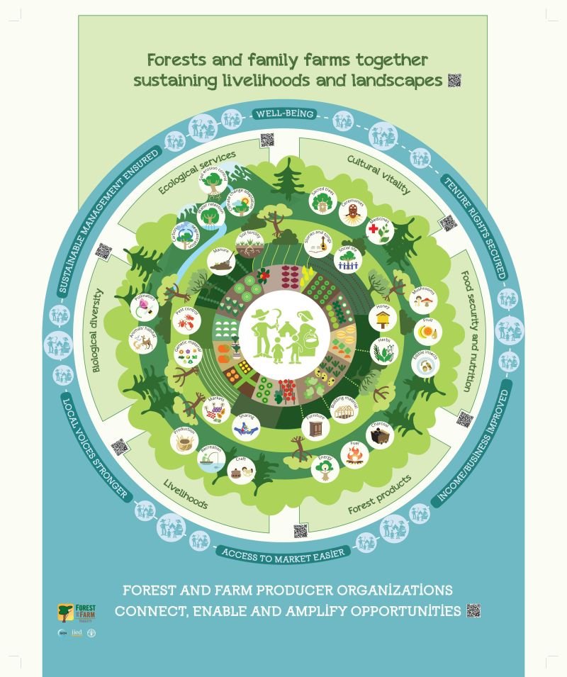 Forests & family farms form an integrated system vital for indigenous peoples, local communities, and smallholders in forested areas, providing essential ecosystem services & livelihood benefits. 🌳👩‍🌾

Learn how👇

@FAO