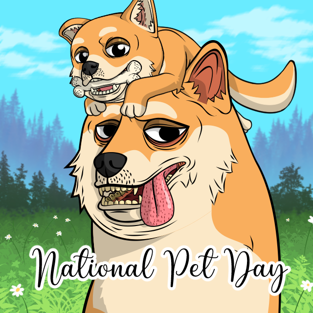 Today is National Pet Day!! 🐶 Let's see your pets in the comments 👇