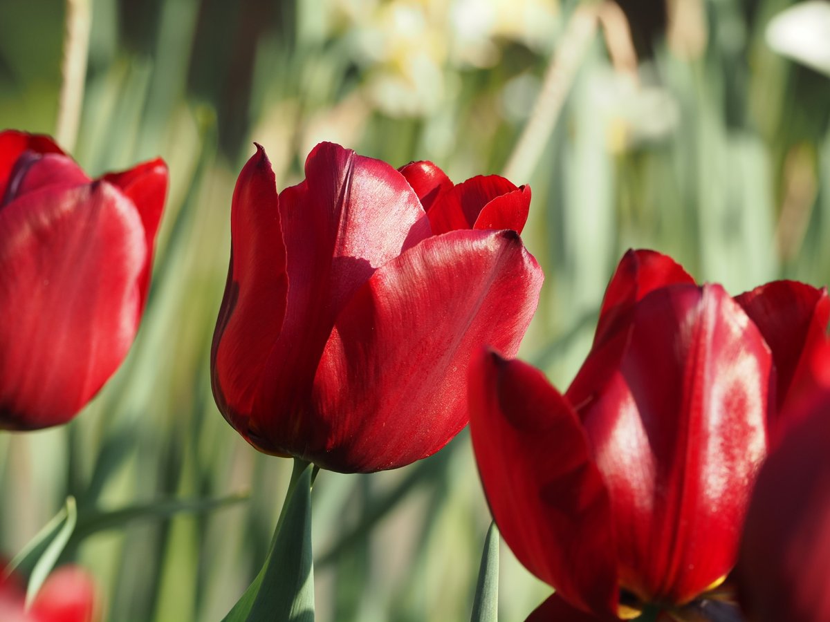 Markus Triska (@markustriska) on Twitter photo 