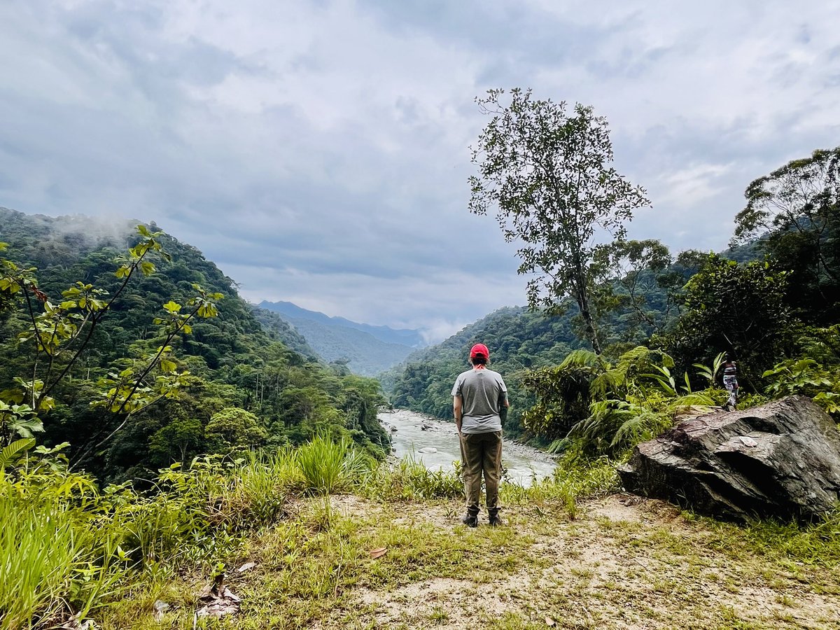 MissCusack12's tweet photo. The #Amazon did not disappoint…. Geography teachers paradise! #Geography 🇪🇨🇪🇨🇪🇨🌴🌴🌴🕷️🕷️🕷️🎋🎋🎋🌎#Ecuador #SouthAmerica https://t.co/EvyLpOefNx