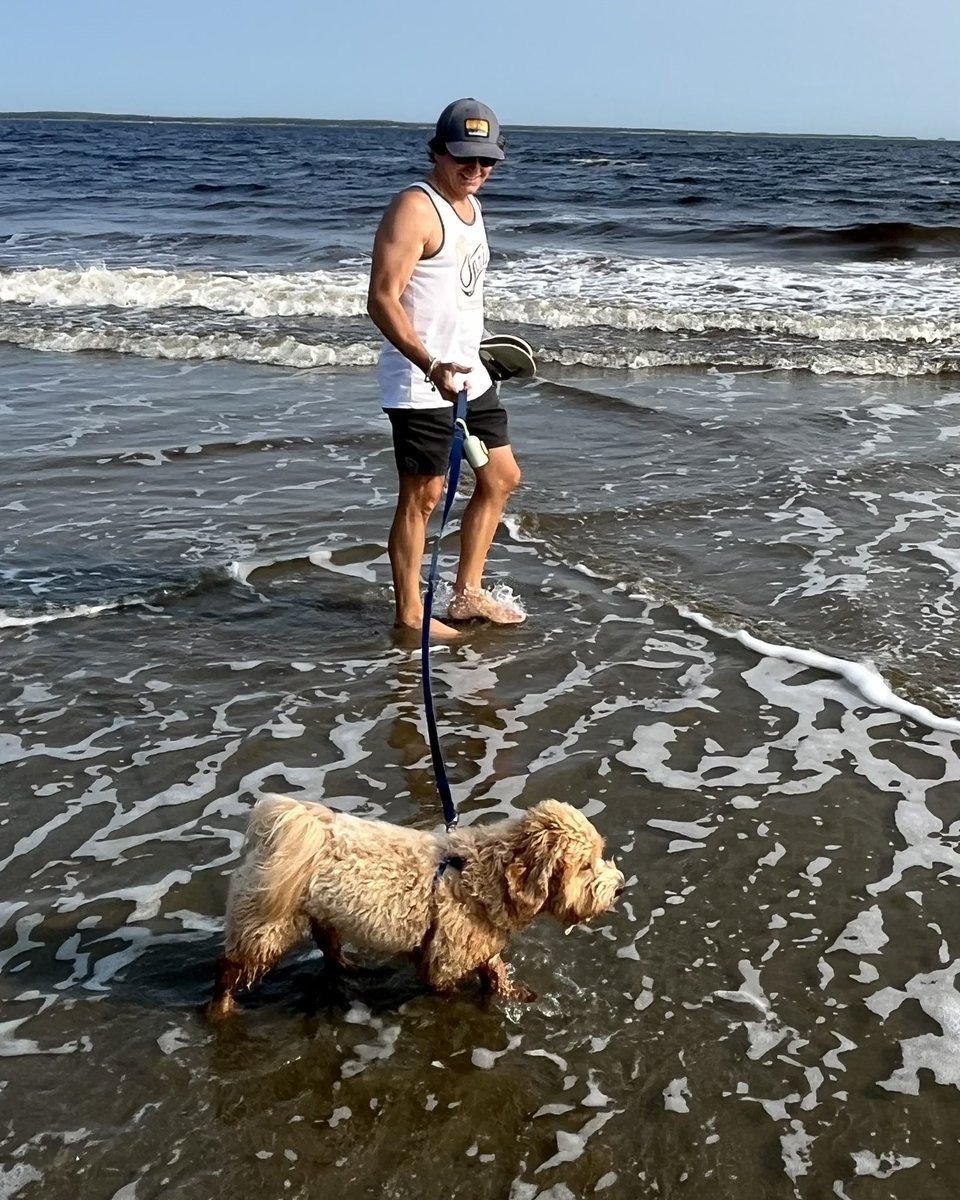digaa17's tweet image. Happy #NationalPetDay to Ted! He loves the outdoors and is always up for a walk, a snowy trail in the park or a sandy beach with a trot in the ocean, he’s ready to go! Ted is actually my neighbours dog but he is dear to my heart too!