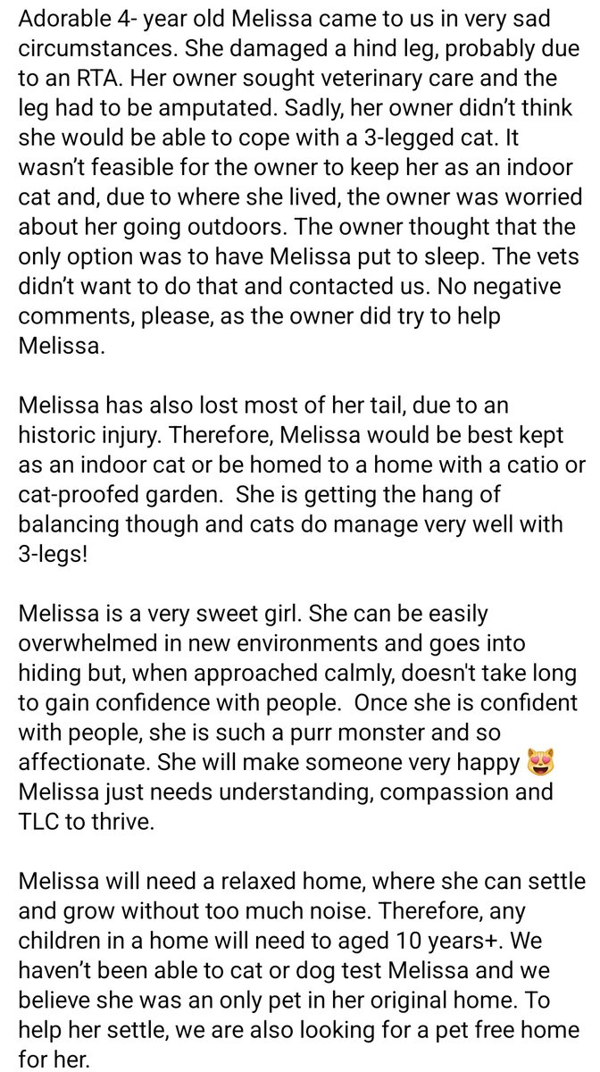 Beautiful Melissa has only got 3 legs due to an RTA, she needs an INDOOR home where she can be a spoilt little princess 👑 #RescueMe #Liverpool #AdoptDontShop #CatsofTwittter
