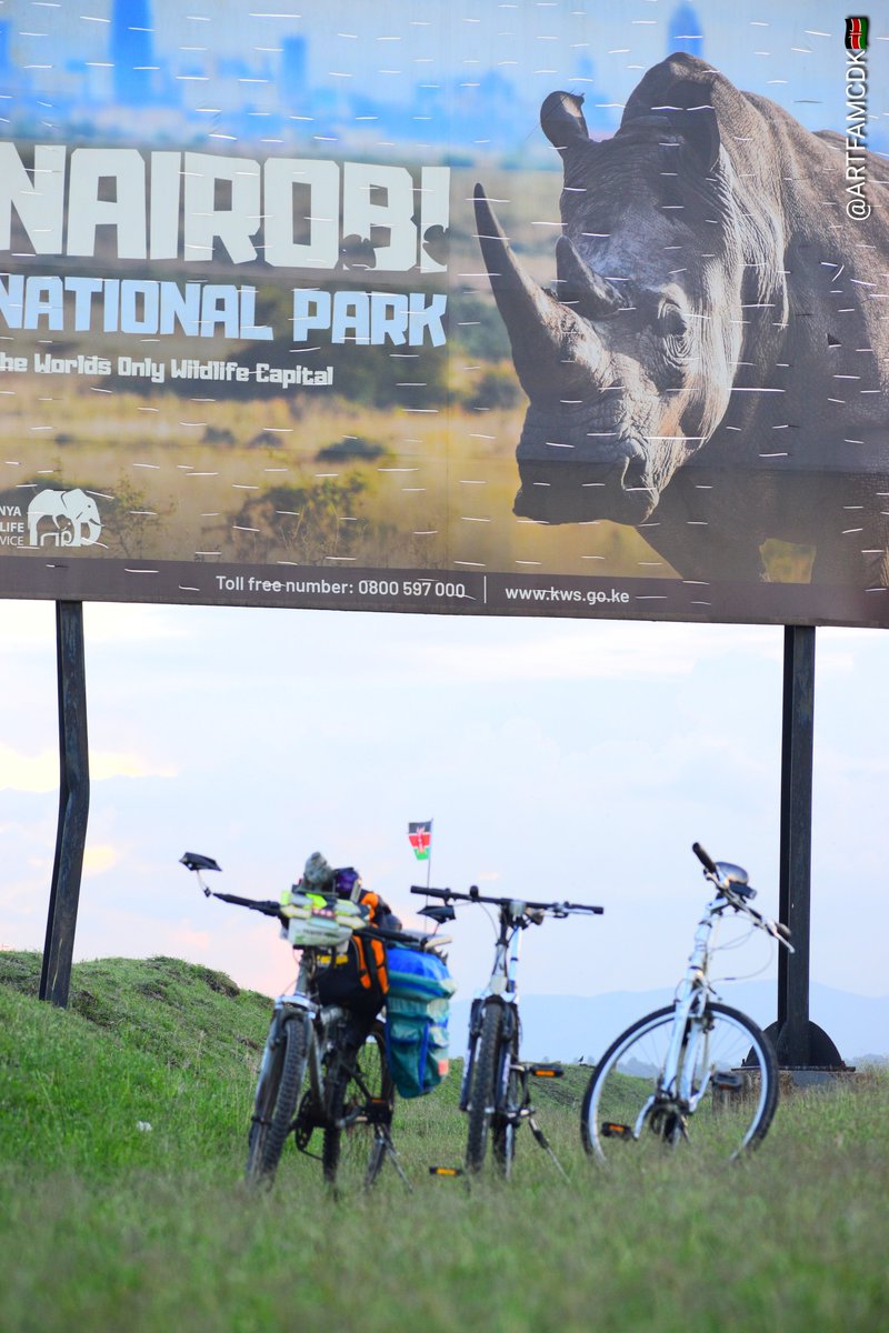 Each pedal we push propels the message further, emphasizing the urgency and importance of protecting these majestic creatures. Let's keep riding, keep speaking out, and maintain our momentum to ensure rhinos remain a living testament to nature's beauty and resilience.