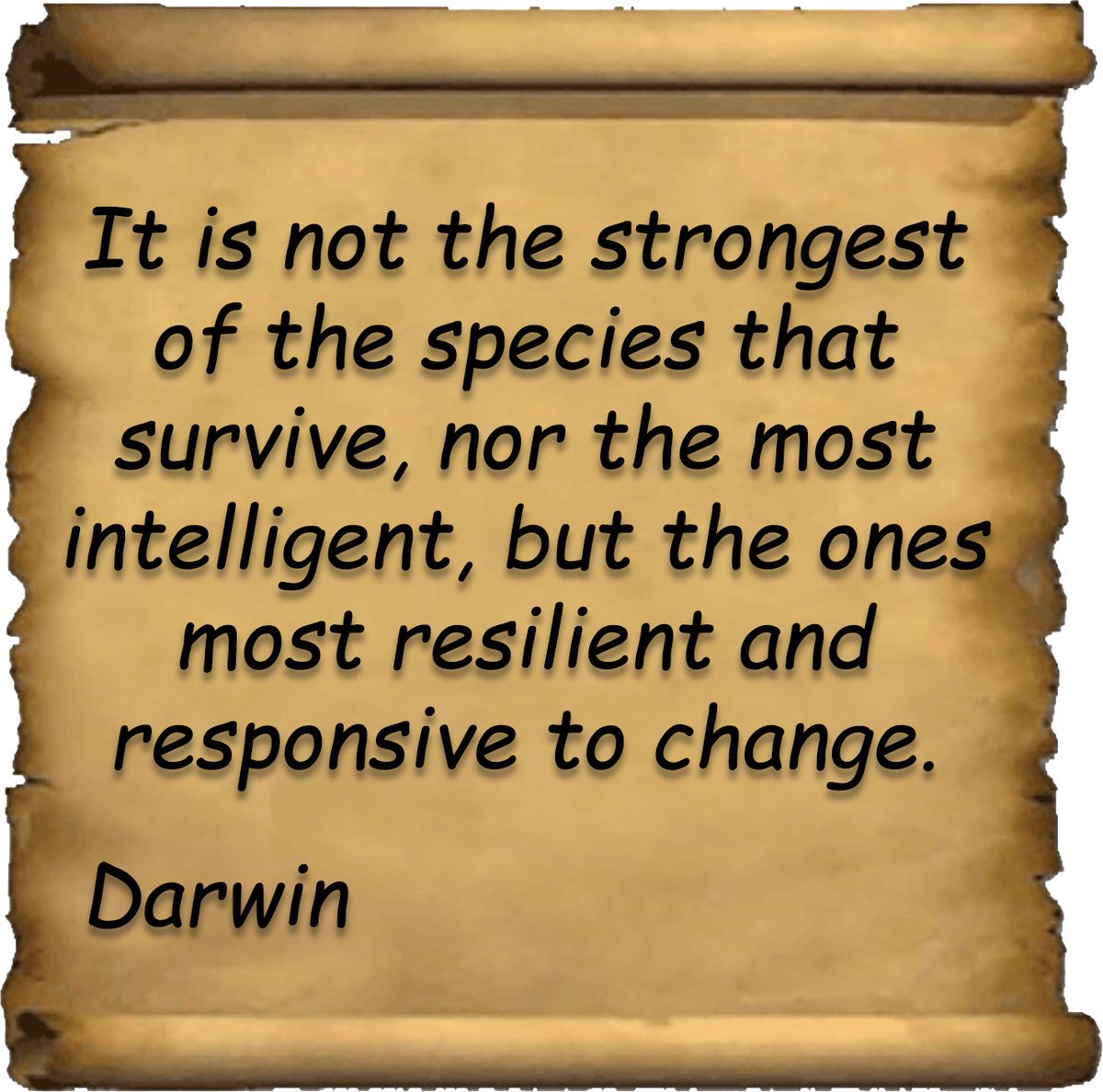 Sykesystem_Intl's tweet photo. As in nature, organizations thrive when they adapt to change. Proactive Change Management is the key to staying ahead in today's fast-paced world.

By anticipating and embracing change, we can ensure our survival and success.

Or, as Ross Shafer puts it, “If you don’t like change, you’re going to hate extinction.”

Let's be like the Resilient Change Leaders that Darwin wrote of - Always Ready to Adapt, Innovate, and Evolve! 🚀🌟 🏆

#ChangeManagement #ProactiveChange #ProgramManagment #ProjectManagment #Resilience #Adaptation #Innovation