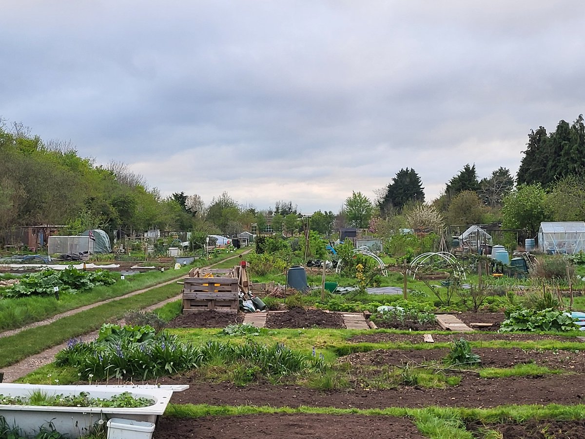 After much delay, we finally hit our new allotment this evening. There is a lot to do, but we've inherited gooseberries, black currants, red currants, raspberries, apples & rhubarb, so that's given us a nice head start. I think we're going to enjoy this.