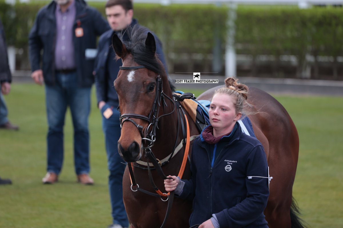 EMMEMMCEE (Mayson x Kilbaha Lady) at Newcastle on Monday in the class five maiden. Trained by @RacingNigel and owned by The Dapper Partnership. Yet to place in all three starts to date.