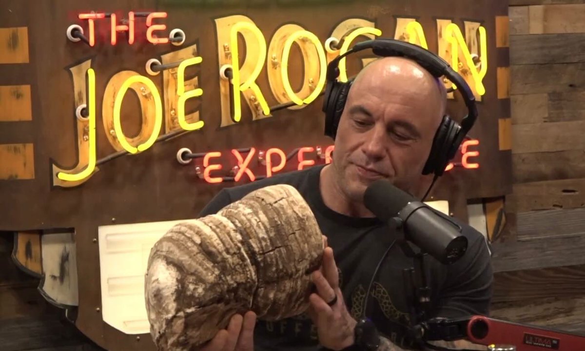 Delved deep into the world of Agarikon, Turkey Tail, Lion’s Mane, psilocybin mushrooms, and the incredible benefits mushrooms offer for immunity on the latest #thejoeroganexperience episode. Thanks for having me back, @joerogan! Check it out: open.spotify.com/episode/0UdRuL…