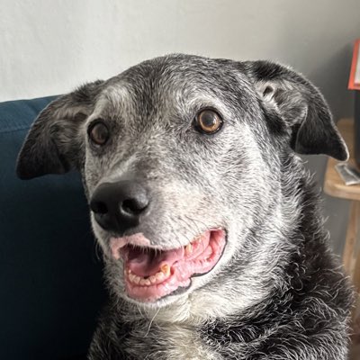 #NewProfilePic