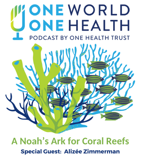 In this One World One Health podcast by the One Health Trust, @maggiemfox chats with Alizée Zimmerman of @TCReef_Fund about coral reefs; why they are important, why they are under threat and the impact of stony coral tissue loss disease: tinyurl.com/4882tusr