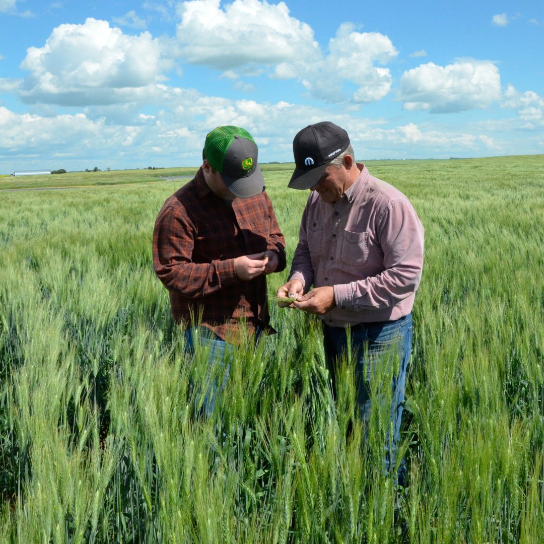 The David Perrin Memorial Award is open for applications 🍀 Apply for one of two $1,500 scholarships to support your post-secondary education in agriculture 🎓 Learn more below and apply by June 1st ⬇ 📸 Cred: l8r.it/Tyw0 Library l8r.it/EU4K