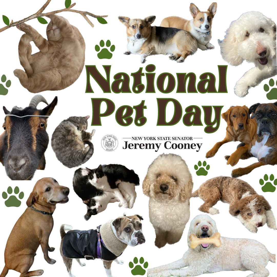 Highlighting all of the wonderful pets of Team Cooney on #NationalPetDay! Be sure to give your furry friends some extra love and appreciation today.🐾