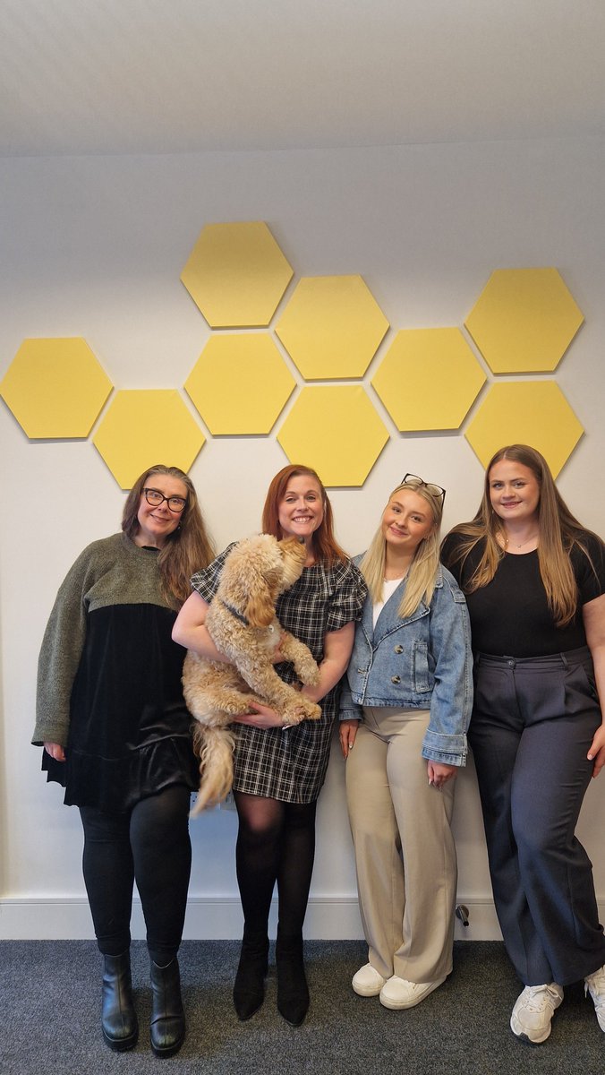 Youbee Media tweet media