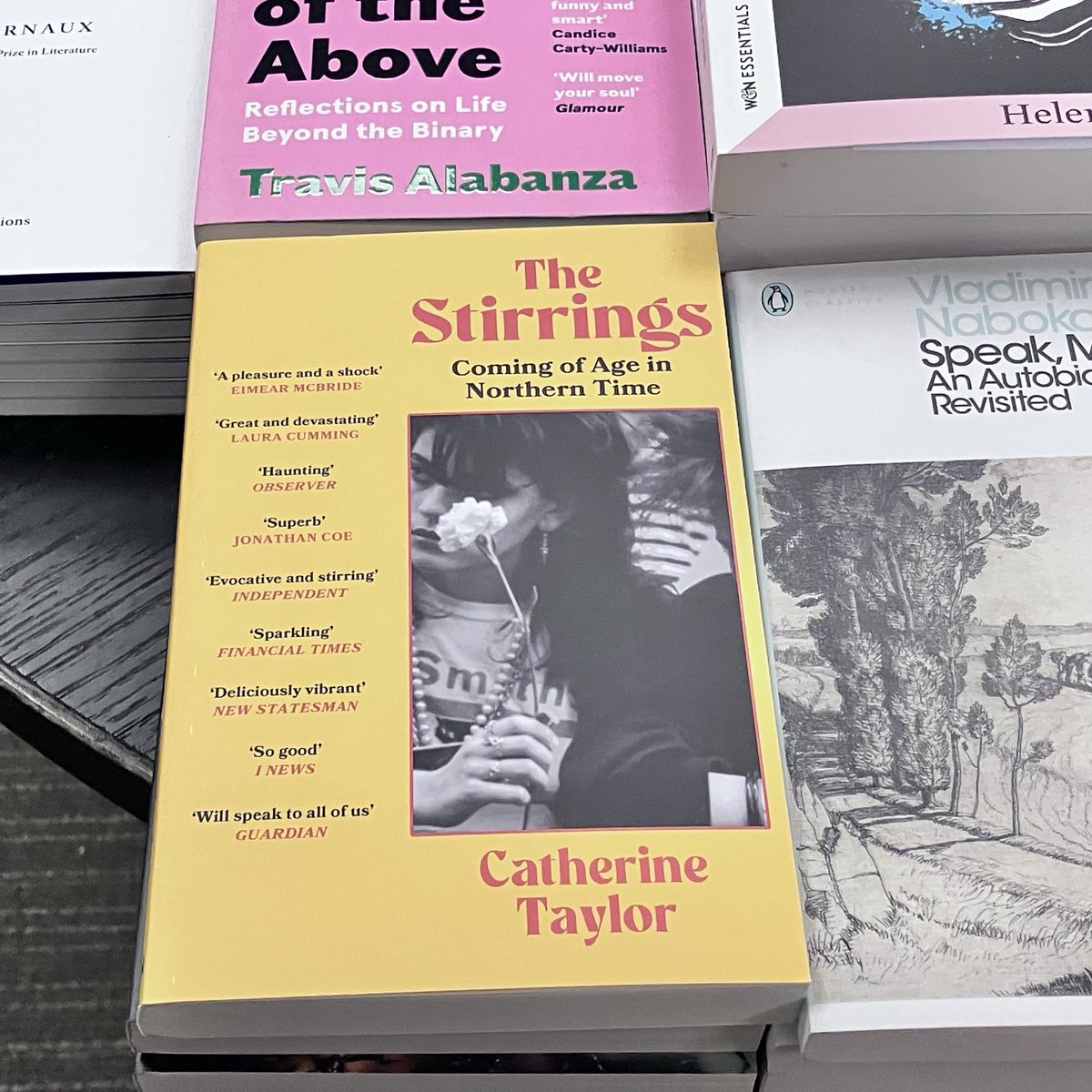 Spotted in ⁦@WstoneIslington⁩ on paperback publication day! #TheStirrings