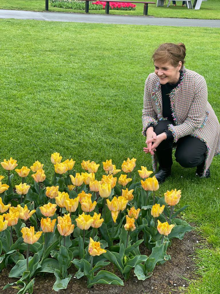 You can find the King Charles III tulips just behind the Koning Willem-Alexander pavilion @visitkeukenhof. A beautiful creation by #Hybris !
