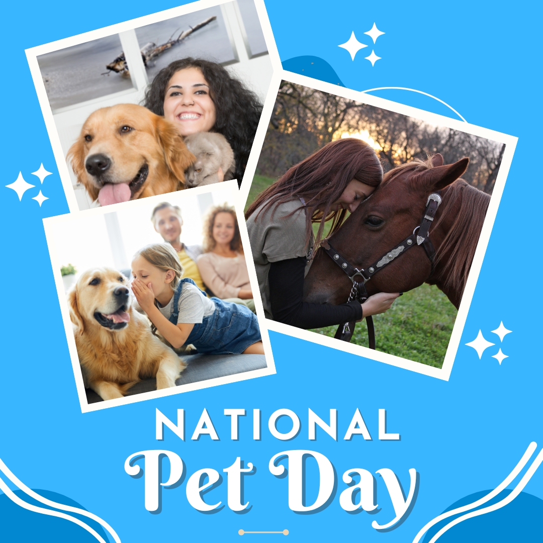 Happy #NationalPetDay from Creative Science!

#dogs #cats #pets #animalhealth