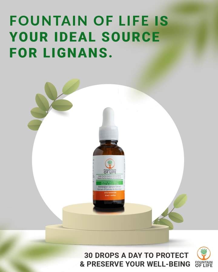 Discover lignans: potent antioxidants in plants. Our modern diets lack them, affecting health. Boost your intake for better wellness. #FountainofLife #Antioxidants