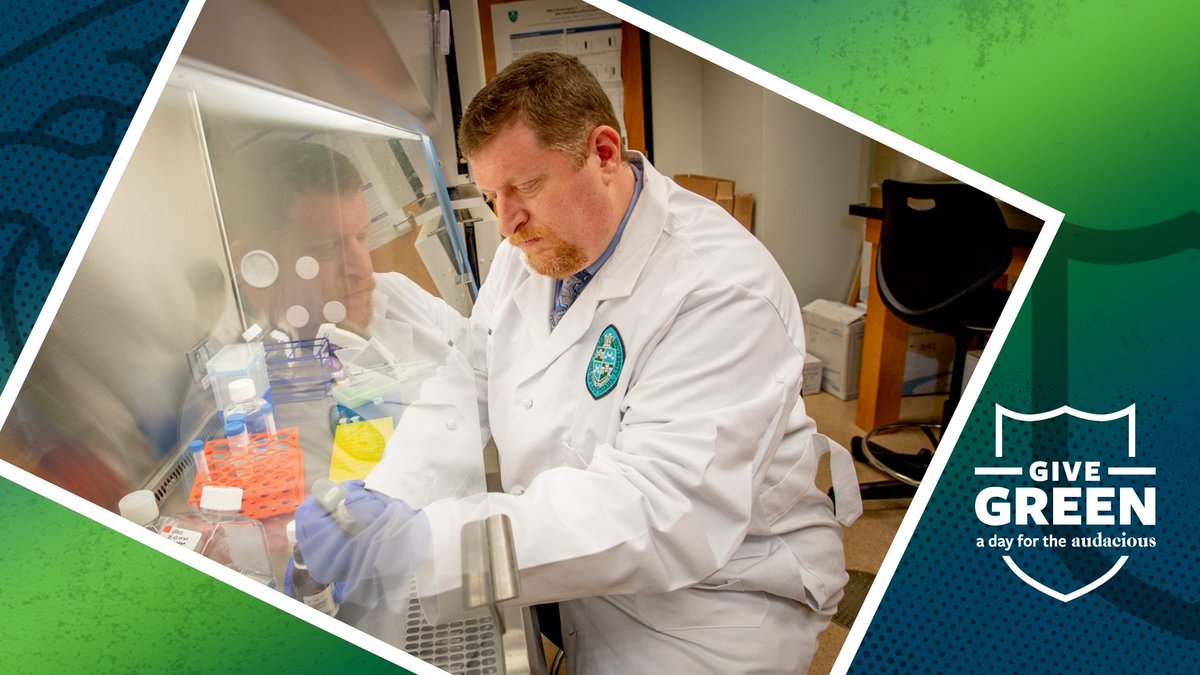 Dr. Gregory Bix was the corresponding author of an exciting new study uncovering the protein that makes the COVID virus’ spoke protein “stick” to cells. Collective support like yours on #GiveGreen helps to advance our research year-round! bit.ly/3xOTCSq