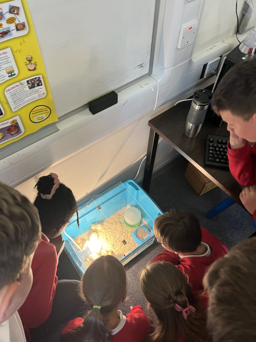 Class 3 tweet media