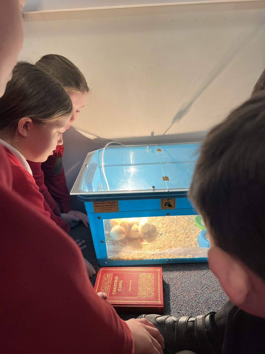 Class 3 tweet media