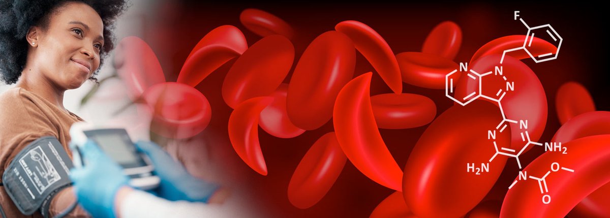 UMSOM Researchers Identify Safety of a Potential New Treatment to Manage Complications from Sickle Cell Disease ow.ly/Kq3750RebSy