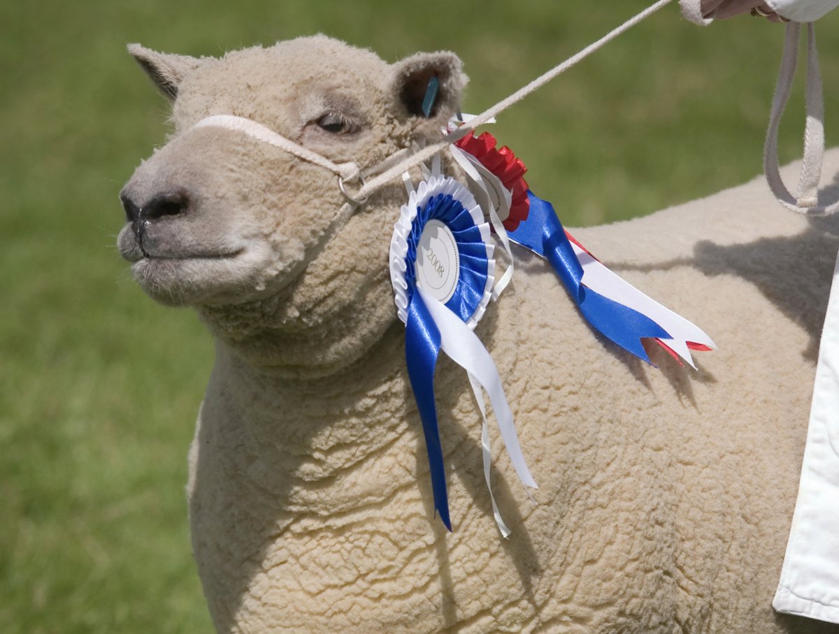 This year’s Devon County Show, will be its most accessible yet, thanks to a new initiative to increase inclusivity. Find out more 🔗 bit.ly/3TX1sEx