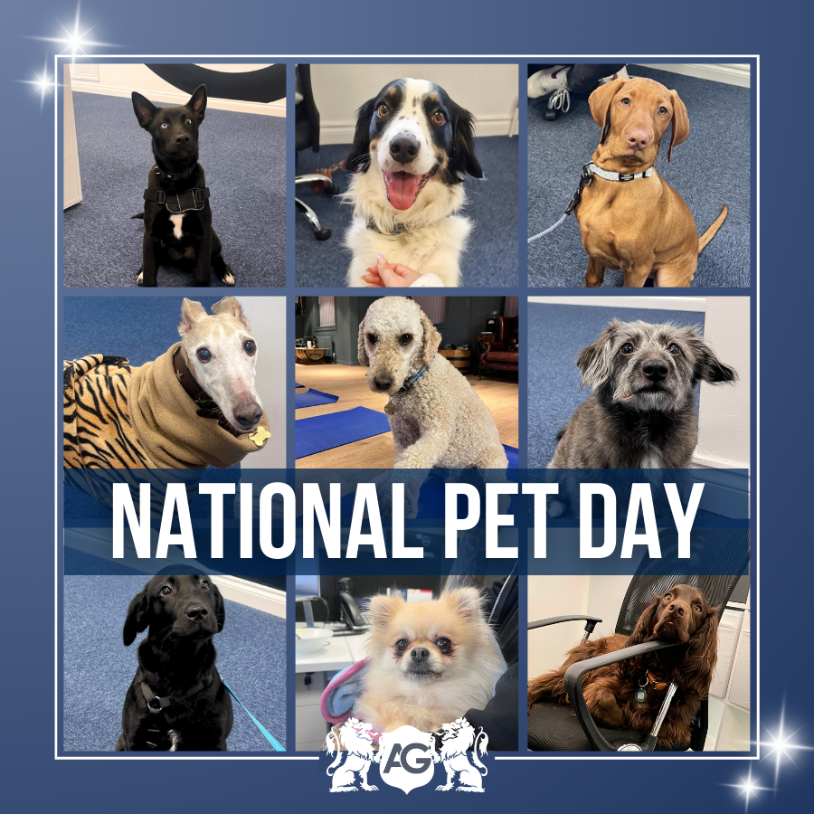 Happy National Pet Day! 

We are one big family at The Ascot Group and that includes our pets🐾 Here are some of our regular 4-legged visitors to the offices👇