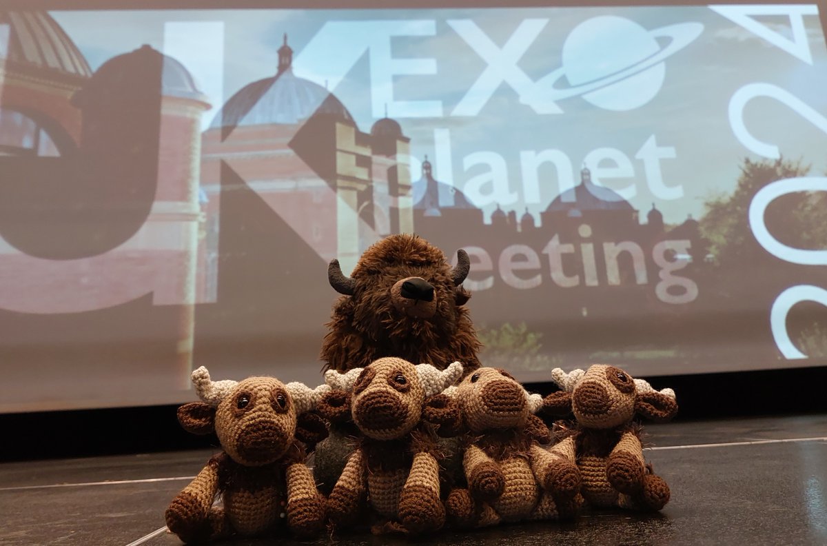 The poster prizes for #ukexom2024, handmade by our LOC members Daisy and Yaz (+ Maddy, Amalie & Emma). From left to right, we have the bison Bart, Betty, Bonnie and Bruno, and up top we of course have Billy the Bison, the Sun, Stars and Exoplanets' group mascot🦬