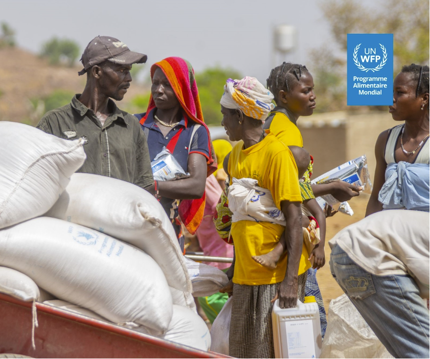 Elvira Pruscini tweet media