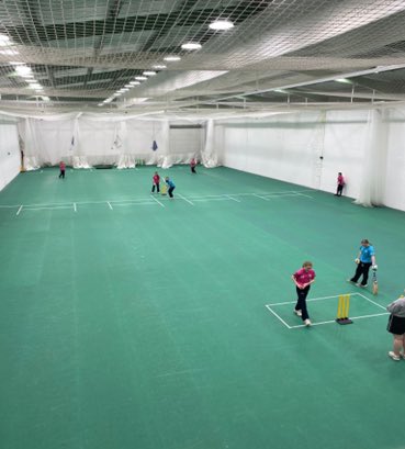 Cricket Leinster tweet media
