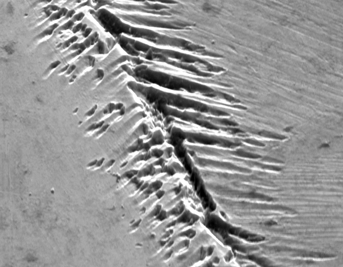 kristina_dunkel's tweet image. I found a mini-MOR in the SEM today. 
Doesn&apos;t this look like mid-ocean ridge topography?
(Etched grain boundary in an alloy, field of view ca. 30 µm.)
#ElectronMicroscopy