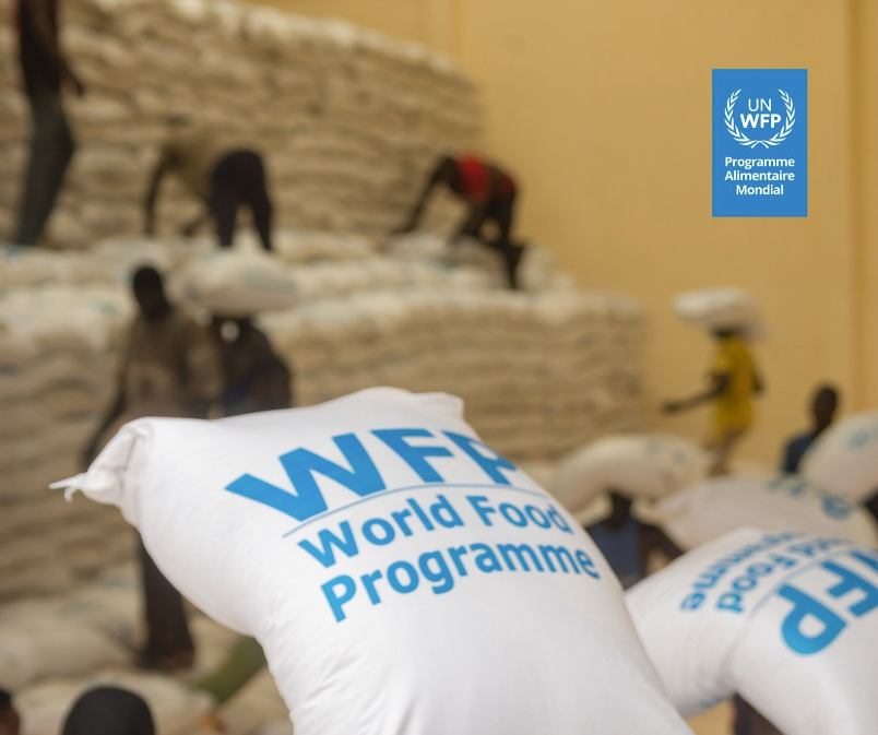 Elvira Pruscini tweet media