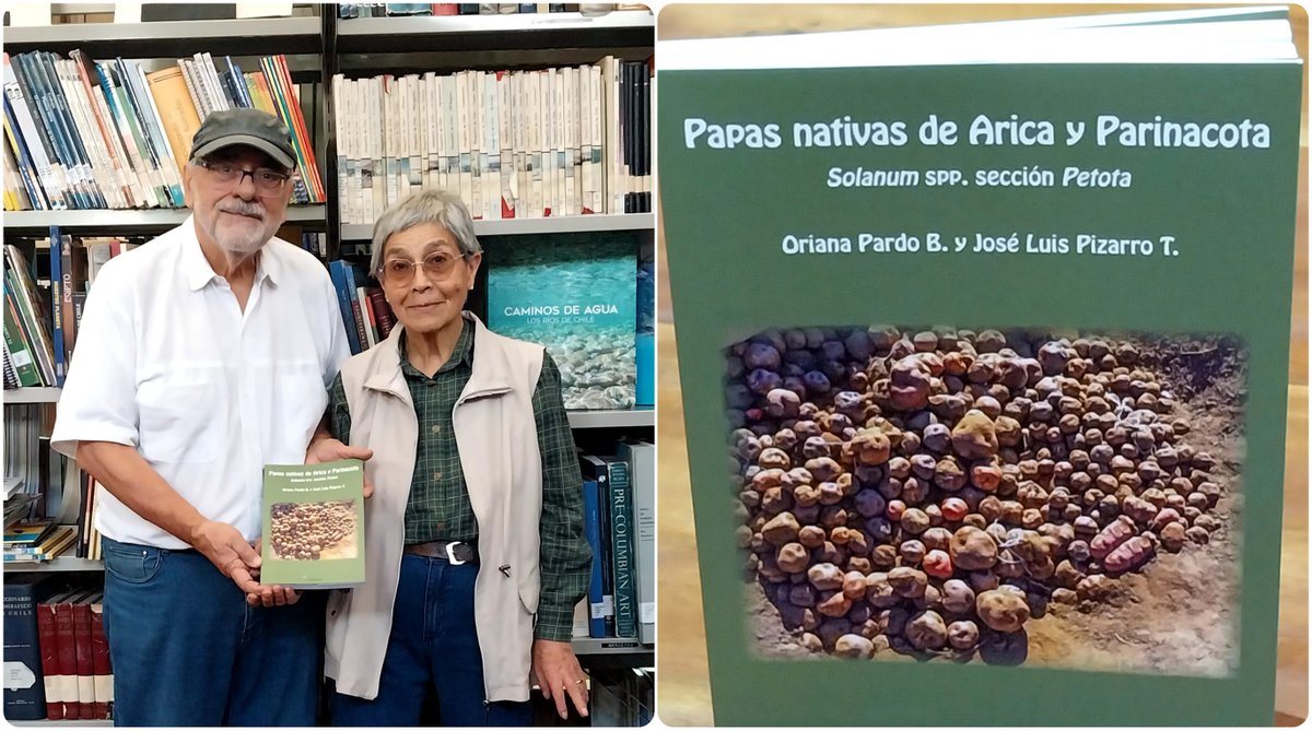 10/4 Recibimos la donación del libro 📚 Papas nativas de Arica y Parinacota 🥔obra de Oriana Pardo y José Luis Pizarro, quienes vinieron especialmente a nuestra biblioteca 😊