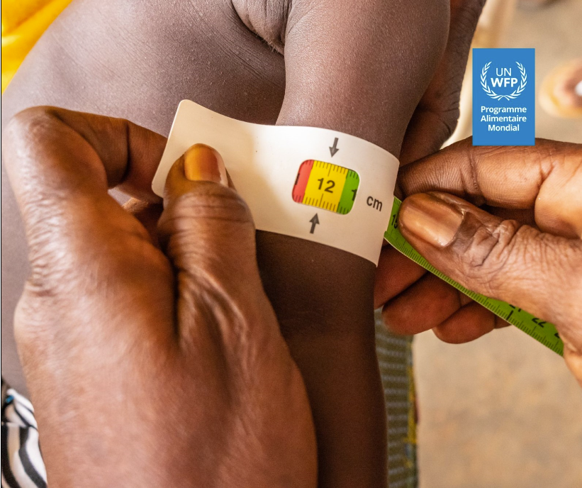 Elvira Pruscini tweet media