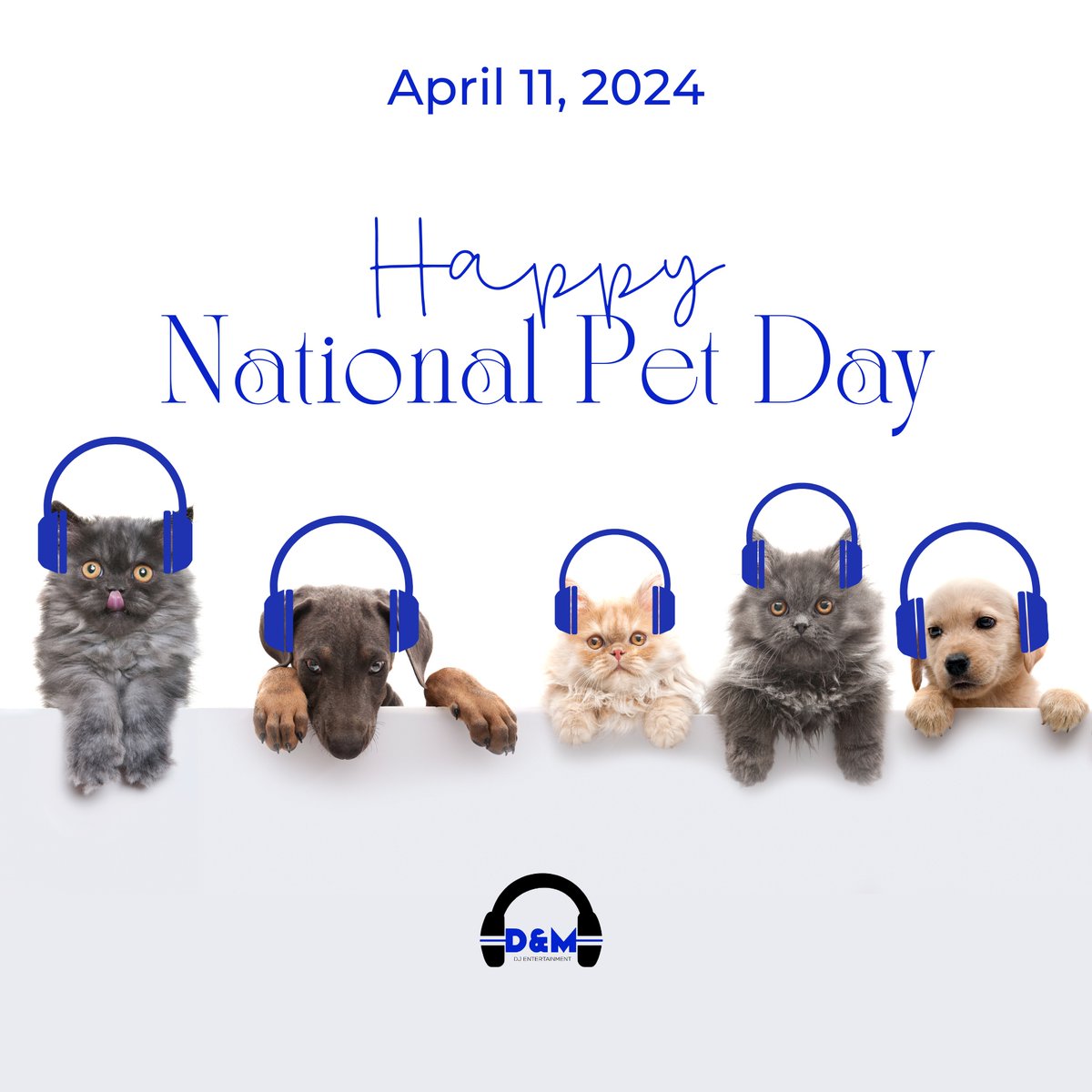 Happy National Pet Day! We hope you get time to give your favorite furball family members some extra treats today. You give them some extra love by sharing one of your favorite photos with us below!

#nationalpetday #lovepets #dog #cat #lovemypet #furball #dandmdjentertainment