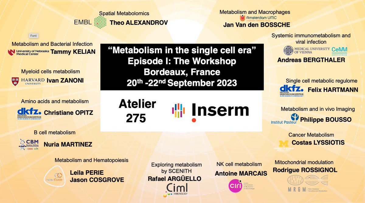 📢Excited to share our comment in Nature Metabolism @NatMetabolism ! Check it👇 Free rdcu.be/dErOJ It all started 3 yrs ago, with a dream to gather world experts developing tools to explore metabolism with single cells resolution & make a workshop to share w/students
