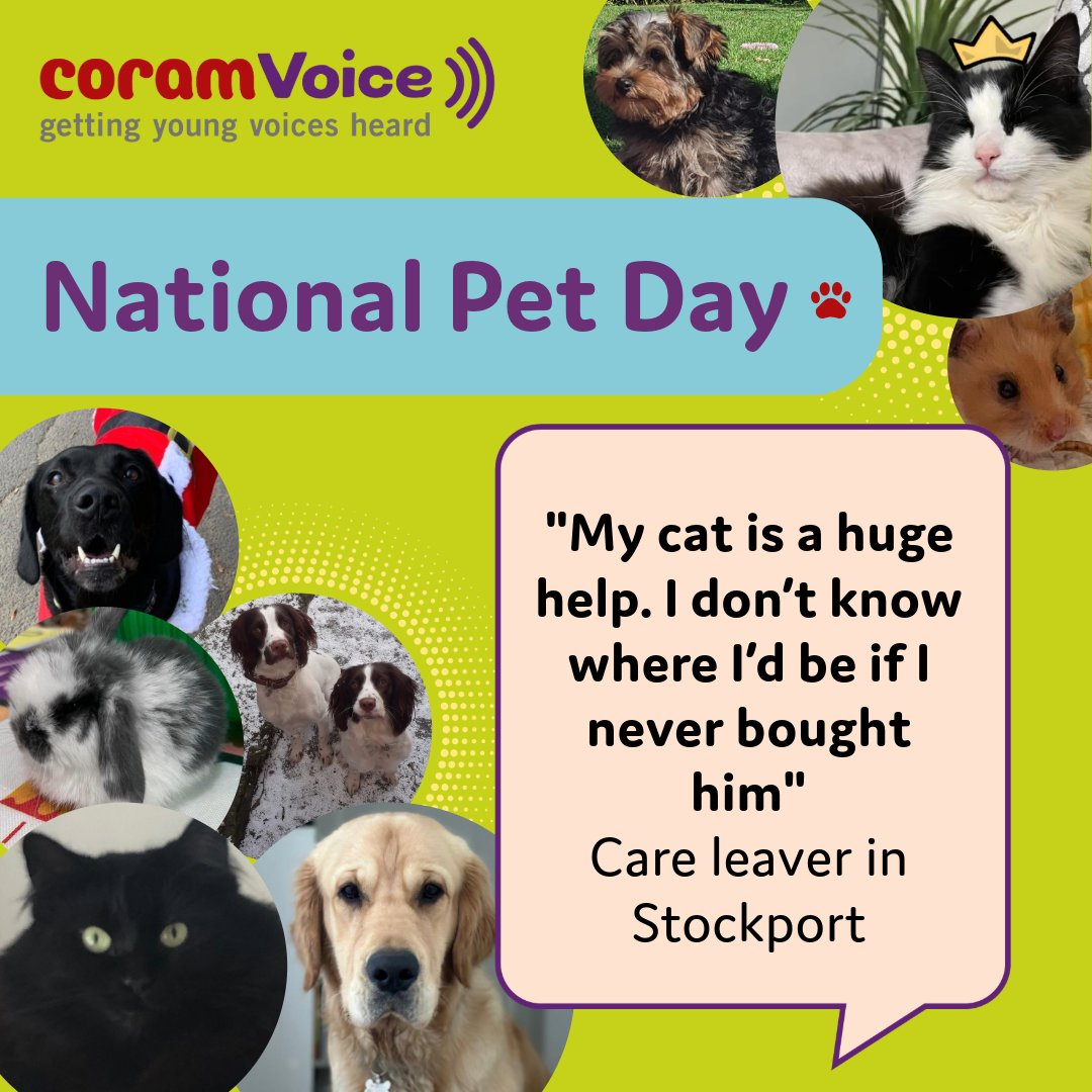It's #NationalPetDay! Our #Brightspots research has shown that having a pet makes a huge difference to the wellbeing of children in care and care leavers. Find out how Stockport is acting on this insight and giving help with the costs of petcare ow.ly/kSqR50RebOW