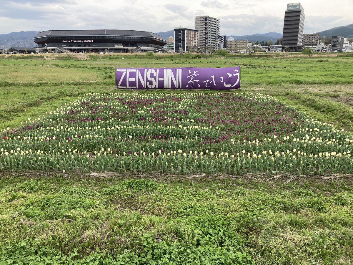 shikai_ryoukou's tweet photo. 徐々にではありますが
咲いております。
週末にはほぼ満開かと。
もものふの皆様も
ぜひお立ち寄りくださいませ🙏
#チューリップ畑🌷🌷🌷
#Teamdoit
#紫のおもてなし https://t.co/MVxfP74Wsu