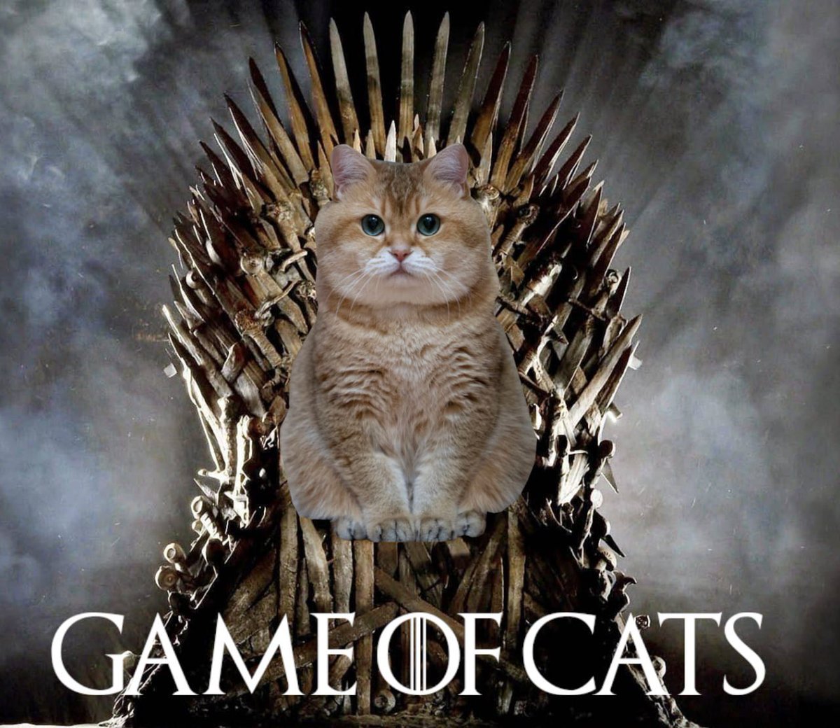 <a href="/metaversejoji/">joji</a> Crypto is all just a GAME OF CATS

And Hosico Cat has plans to rise to the top

$HC