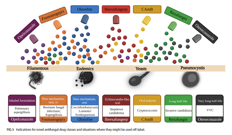 Novel antifungals and treatment approaches to tackle resistance and improve outcomes of invasive fungal disease | Clinical Microbiology Reviews journals.asm.org/doi/10.1128/cm…