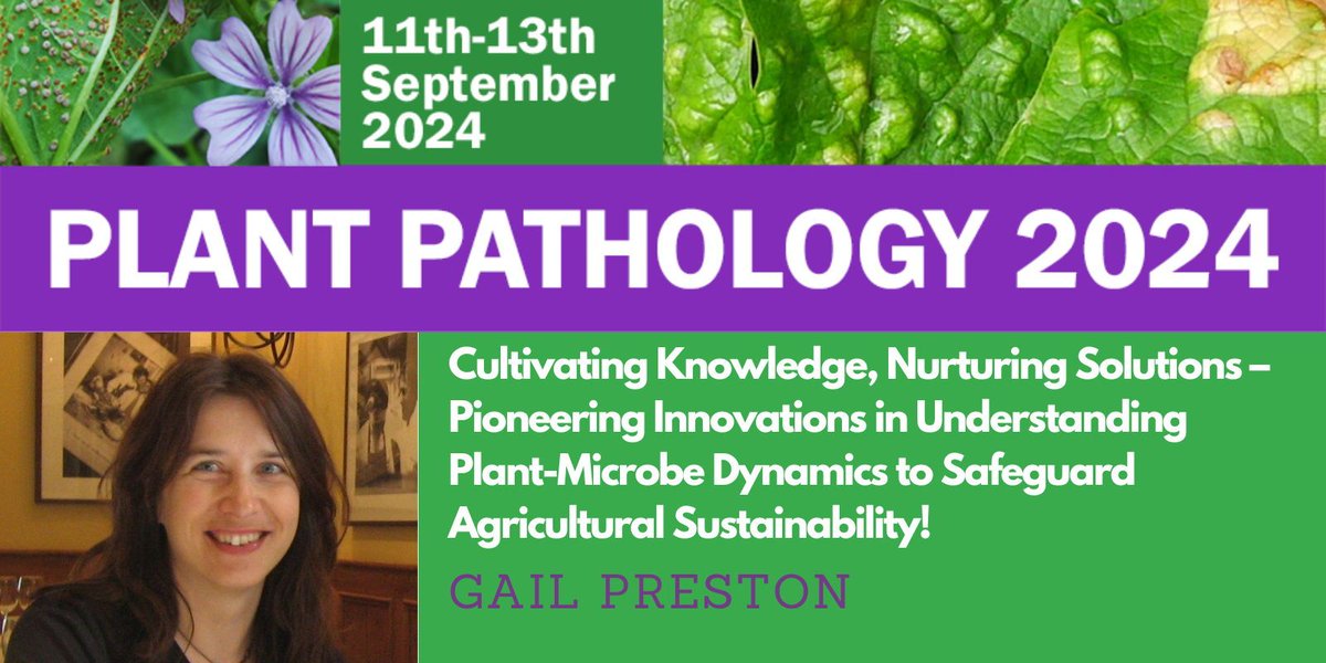 🌱✨ Speaker Highlight! Don't miss Prof. Gail Preston's expertise in Plant-Microbe Interactions at #PPATH2024 in Oxford. Early bird ticket prices end May 1st! 🎟️ PlantPathology.org.uk @gailmpreston